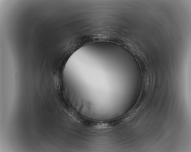 X0000116810609200912241222