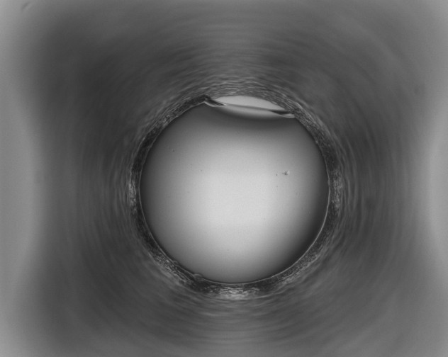 X0000116810613200912241222