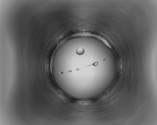 X0000116810615200912241222