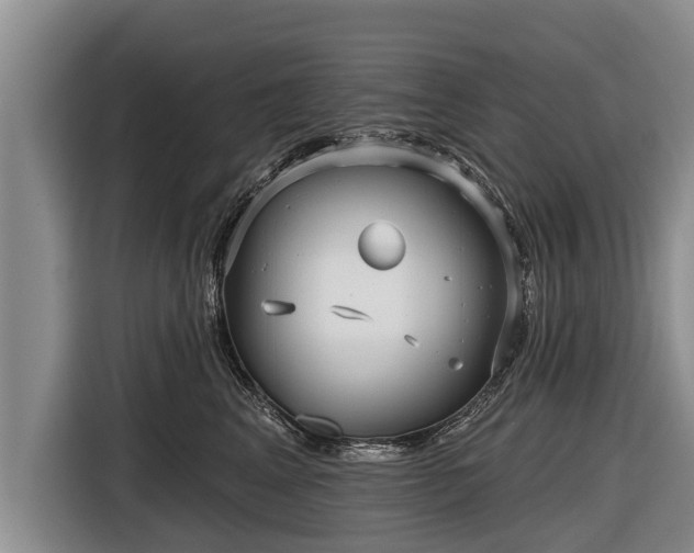 X0000116810617200912241222