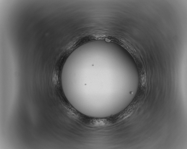 X0000116810618200912241222