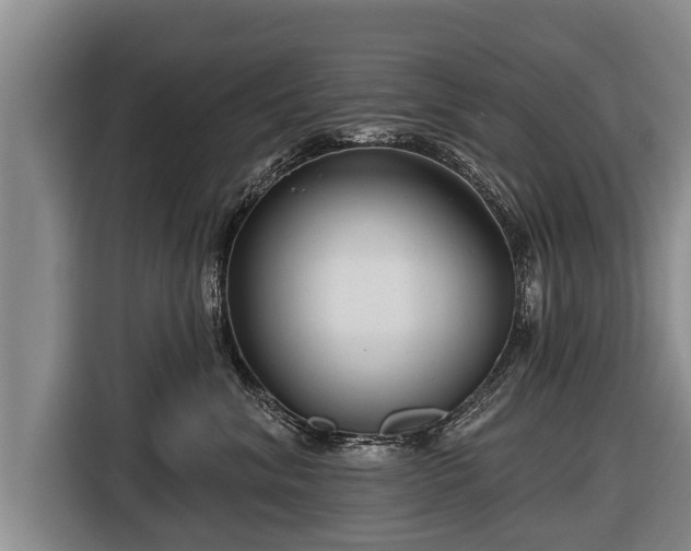 X0000116810620200912241222