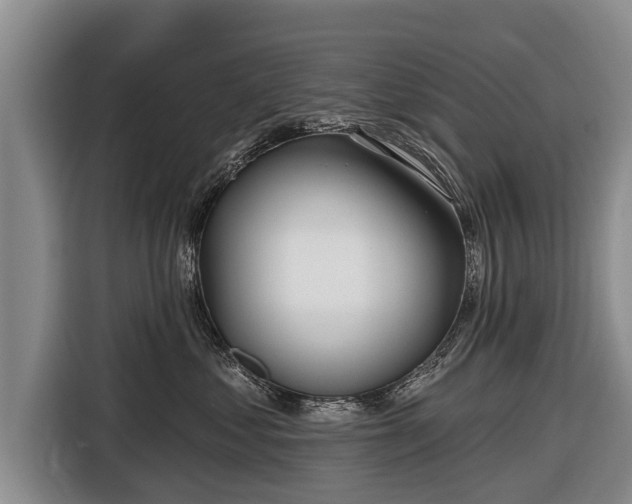 X0000116810621200912241222