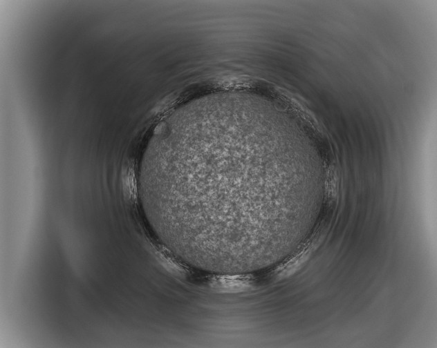 X0000116810622200912241222