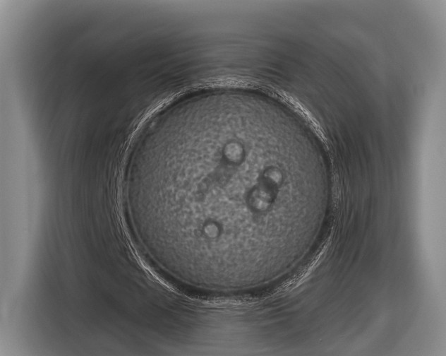 X0000116810625200912241221