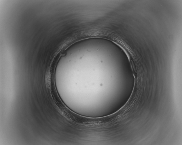 X0000116810626200912241221