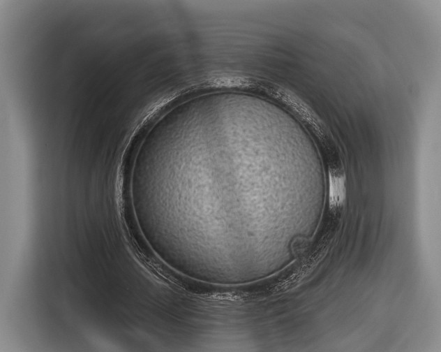 X0000116810627200912241221