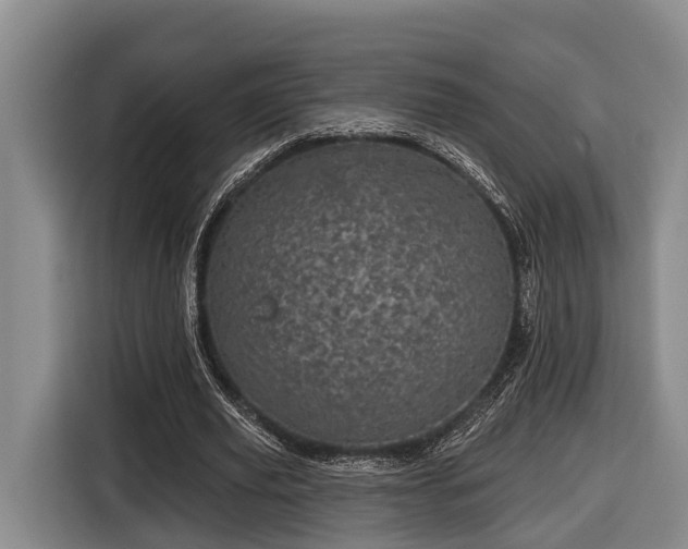 X0000116810629200912241221