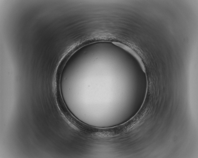 X0000116810630200912241221