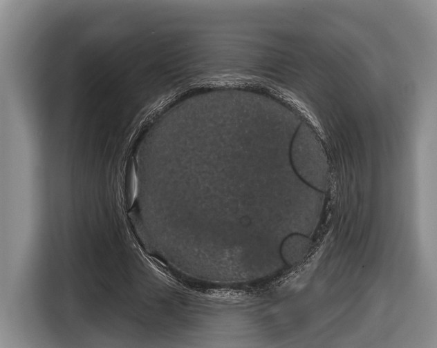 X0000116810633200912241222