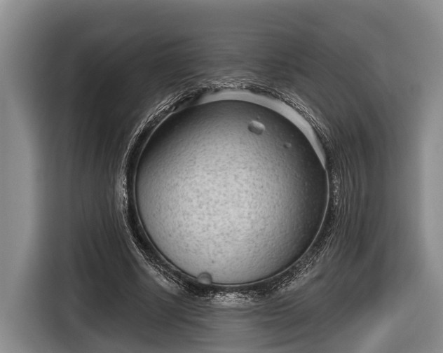 X0000116810634200912241222