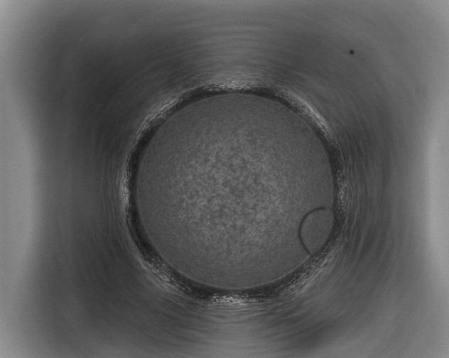 X0000116810635200912241222