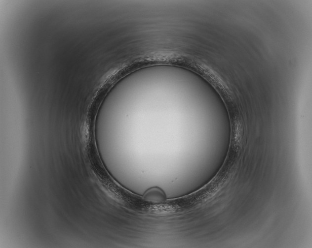 X0000116810636200912241222