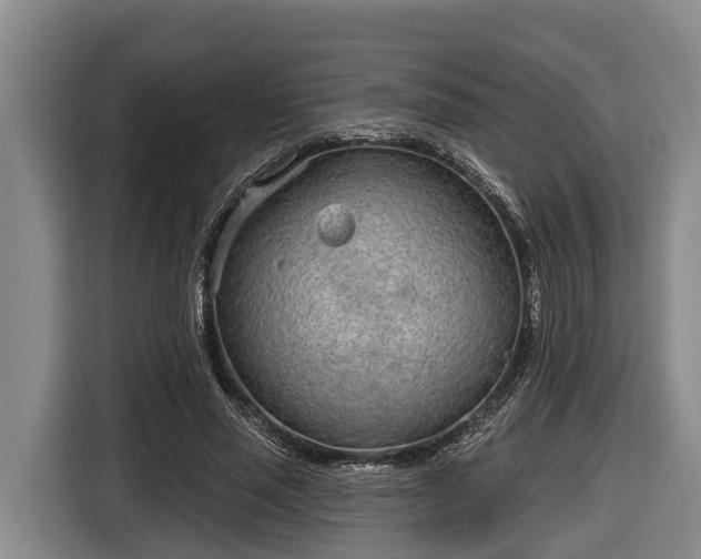 X0000116810637200912241222