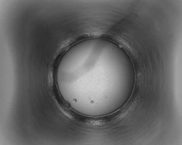 X0000116810638200912241222