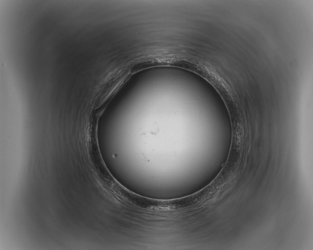 X0000116810639200912241222