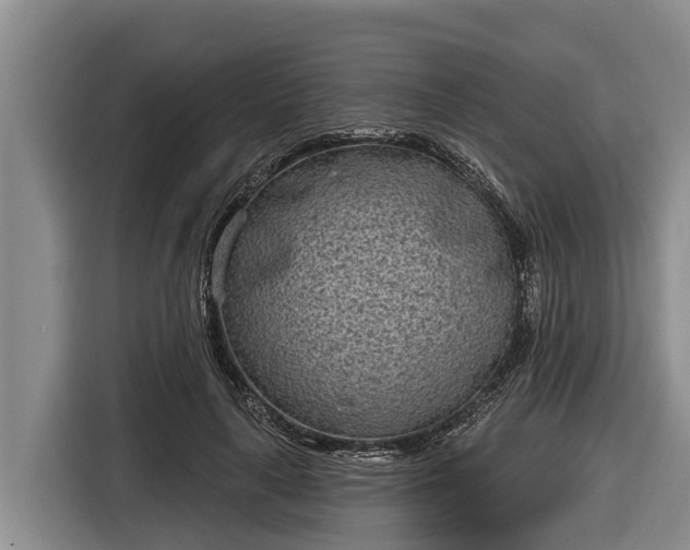 X0000116810643200912241222