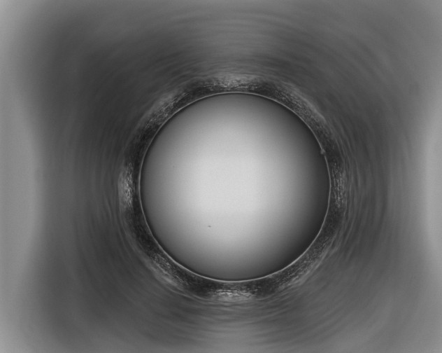 X0000116810644200912241222