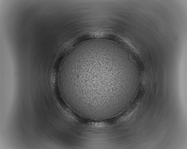 X0000116810645200912241222