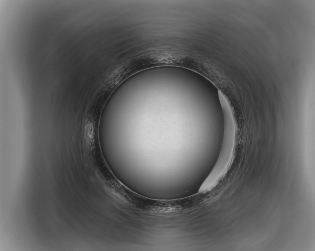 X0000116810646200912241222