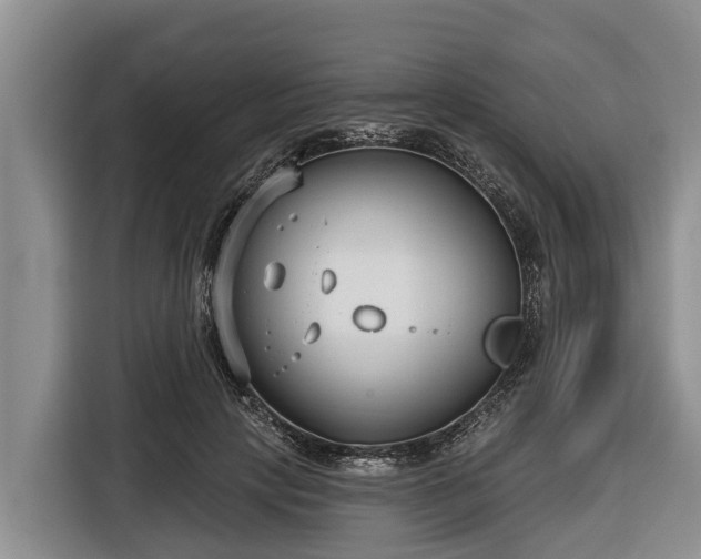 X0000116810649200912241222