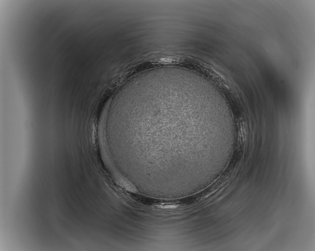 X0000116810651200912241222