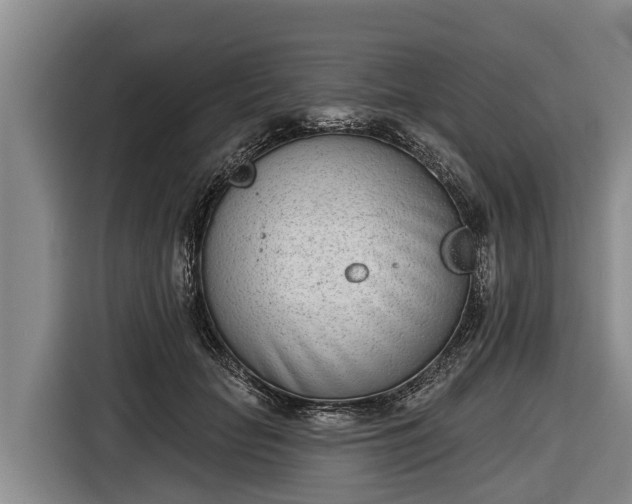 X0000116810653200912241222