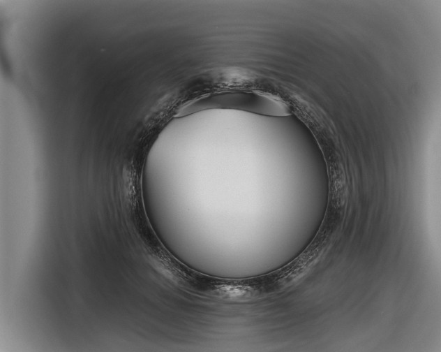 X0000116810654200912241222