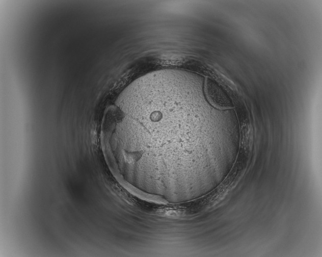 X0000116810655200912241222