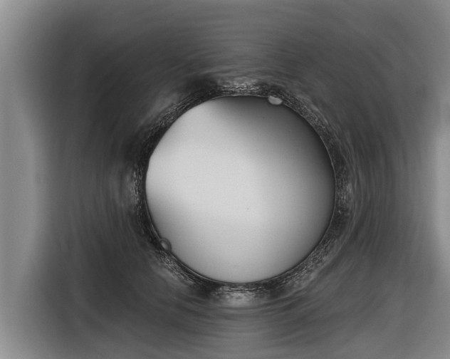 X0000116810658200912241222