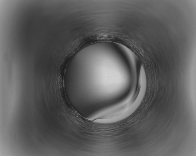 X0000116810659200912241222