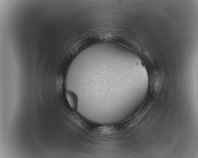 X0000116810660200912241222