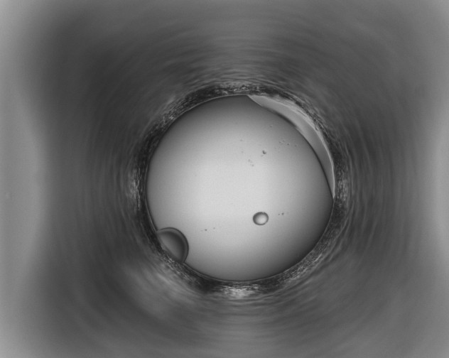 X0000116810662200912241222