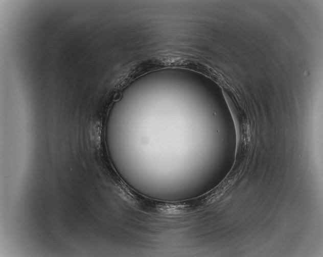 X0000116810664200912241222