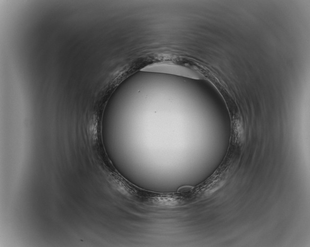 X0000116810668200912241222