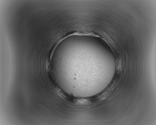 X0000116810669200912241222