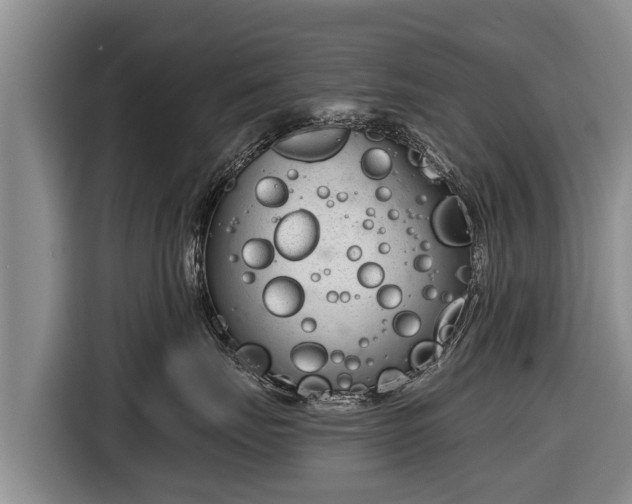 X0000116810671200912241222