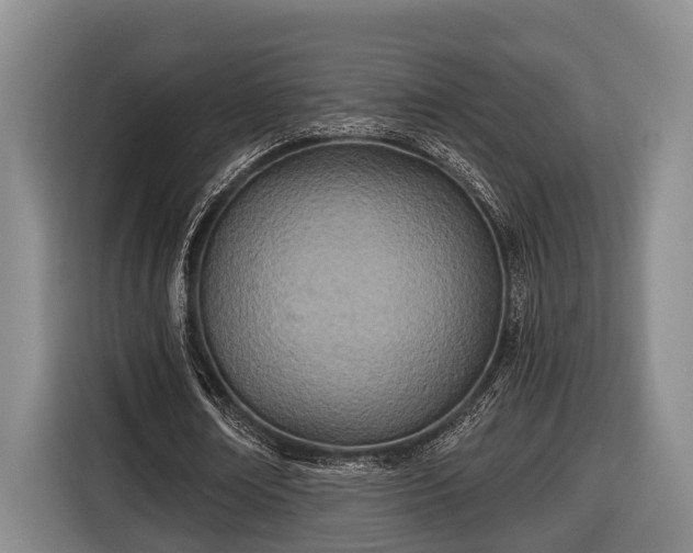 X0000116810674200912241221