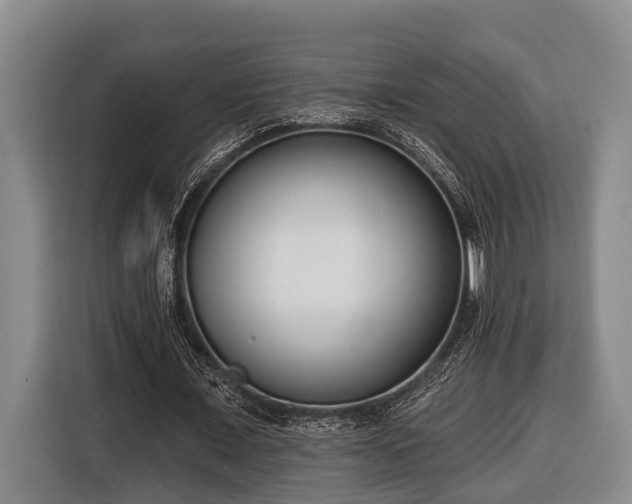 X0000116810675200912241221