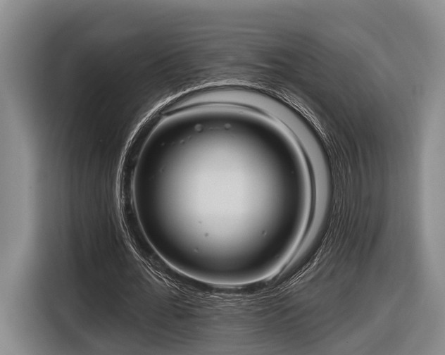 X0000116810676200912241221