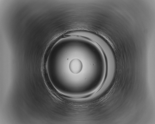 X0000116810677200912241221