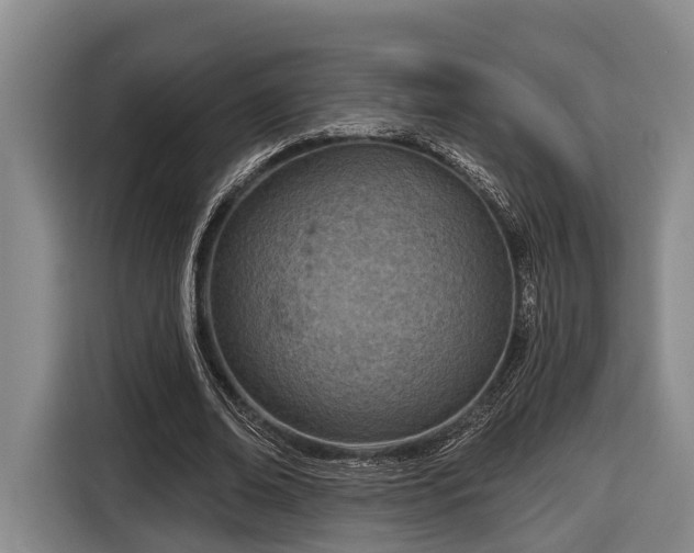 X0000116810678200912241221