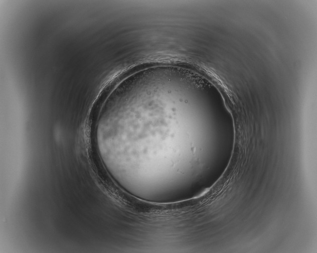 X0000116810679200912241221