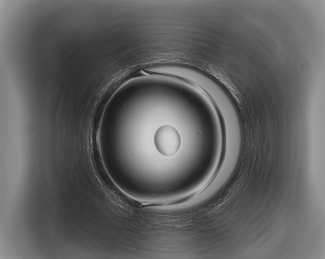 X0000116810681200912241221