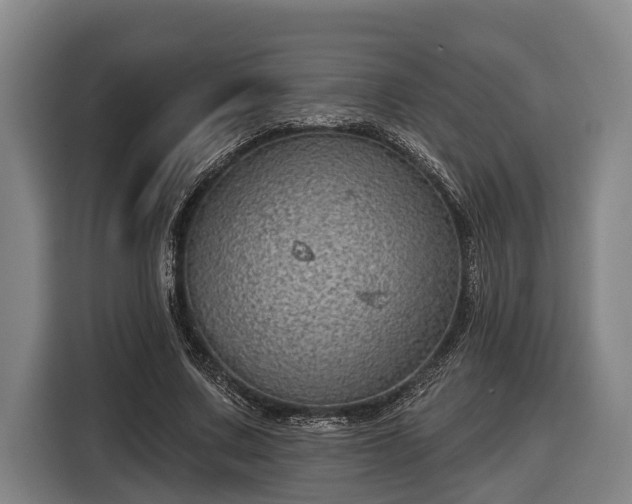 X0000116810683200912241221