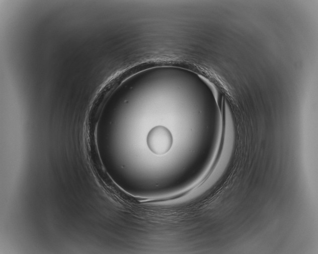 X0000116810684200912241221