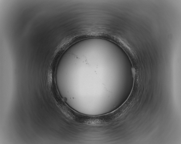 X0000116810685200912241221