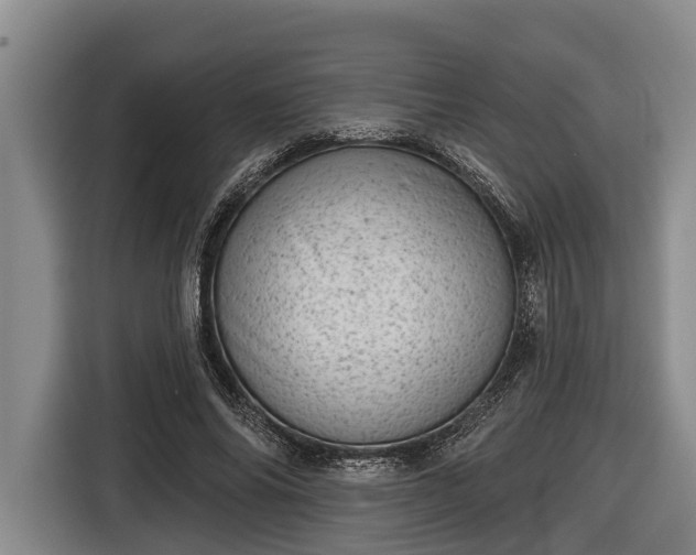 X0000116810686200912241221