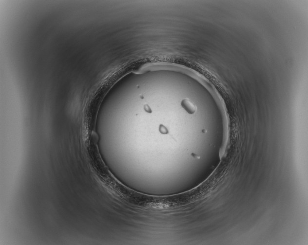 X0000116810687200912241221