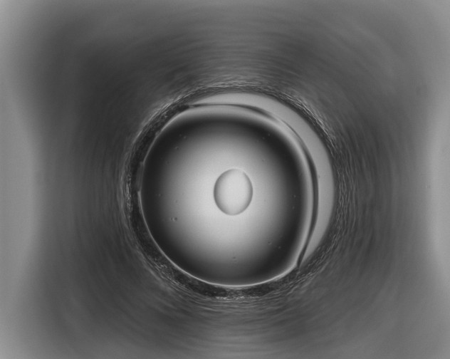 X0000116810688200912241221